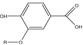Gambar 2. 2 Struktur kerangka asam fenolat 