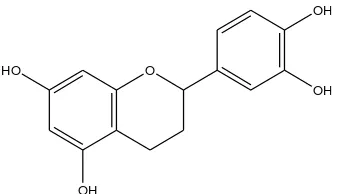 Gambar 2. 3 Struktur senyawa tanin 