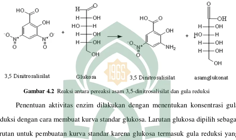Gambar 4.2  Reaksi antara pereaksi asam 3,5-dinitrosalisilat dan gula reduksi 