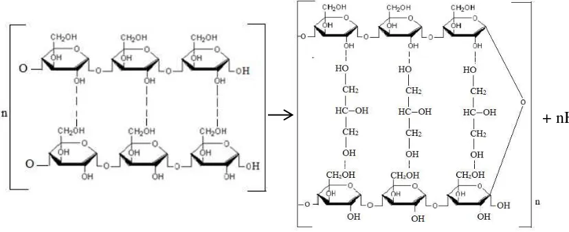 Gambar 4.1 Perkiraan Reaksi Polimerisasi Pati  dan Gliserol (Anggarini, 2013) 