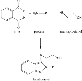 Gambar 3. Reaksi antara OPA dengan amina primer
