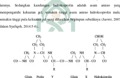 Gambar 2.4 Struktur  Kimia Gelatin (Grobben dkk, 2004 dalam Ramadani, 2014:22 ) 
