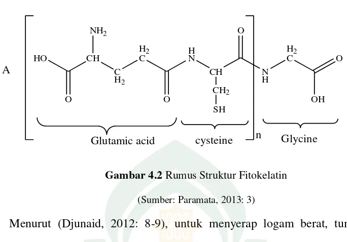 Gambar 4.2 Rumus Struktur Fitokelatin 
