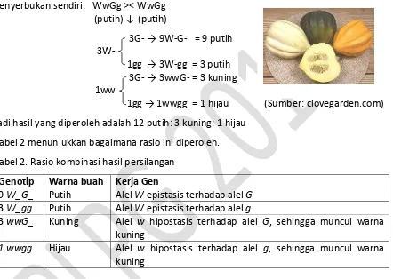 Tabel 2 menunjukkan bagaimana rasio ini diperoleh. 