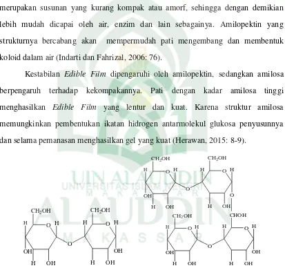 Gambar 2.3 Struktur Amilosa dan Amilopektin  