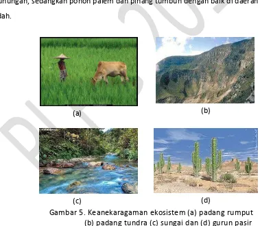 Gambar 5. Keanekaragaman ekosistem (a) padang rumput 