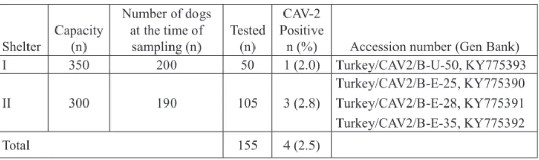 Table 1. Distribution of diagnostic materials and results Shelter Capacity (n) Number of dogs at the time of sampling (n) Tested (n) CAV-2  Positive  