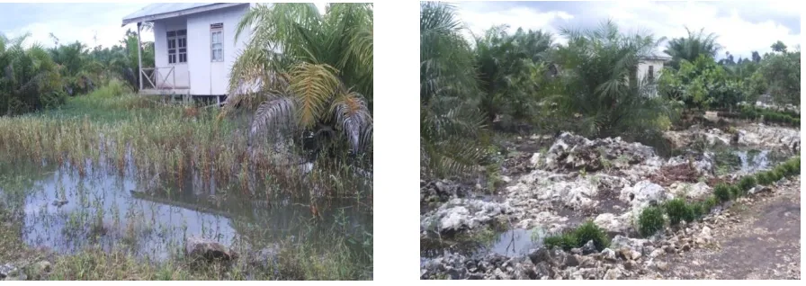 Gambar 5. Tempat Perkembangbiakan Potensial Anopheles spp. di Desa Siayuh (Trans) Kabupaten Kotabaru Februari 2015 
