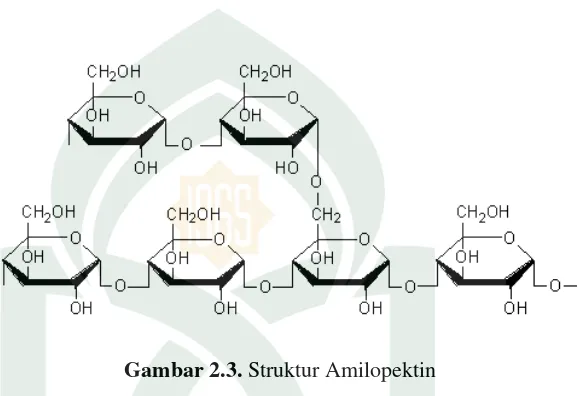 Gambar 2.3. Struktur Amilopektin 