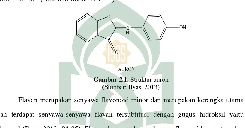 Gambar 2.1. Struktur auron  