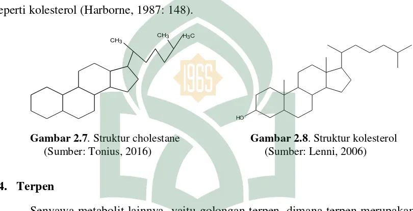 Gambar 2.7. Struktur cholestane 