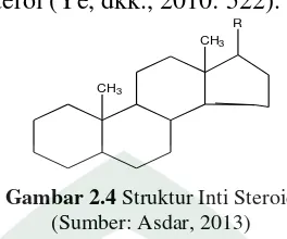 Gambar 2.4 Struktur Inti Steroid 