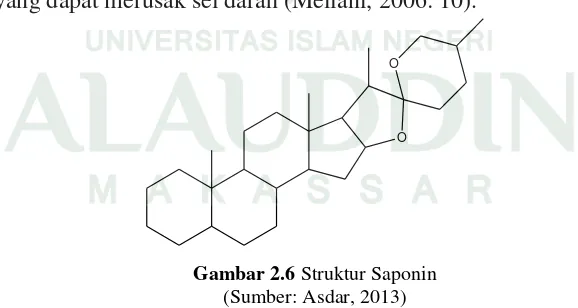 Gambar 2.6 Struktur Saponin 