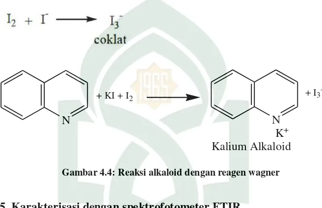 Gambar 4.4: Reaksi alkaloid dengan reagen wagner 