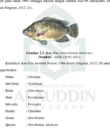 Gambar 2.2. Ikan Nila (Oreochromis niloticus) 