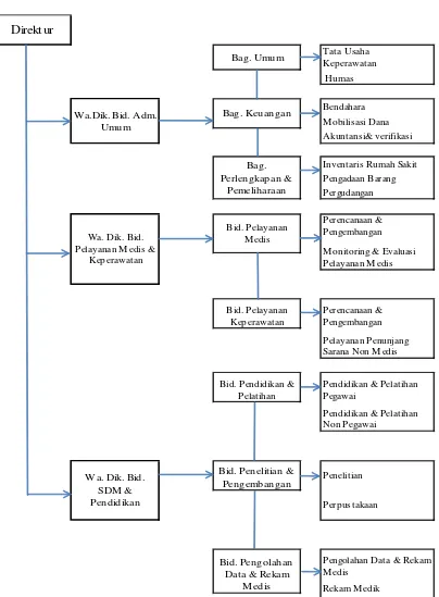 Gambar 4.1 : Bagan Struktur Organisasi Rumah Sakit Jiwa (RSJ) Provinsi 