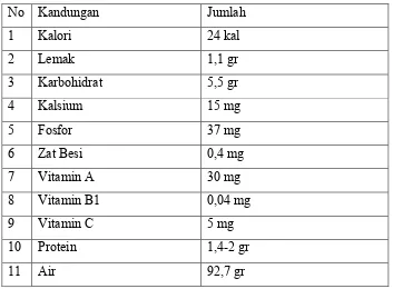 Tabel 2.1. Kandungan gizi buah terung dalam 100 gr