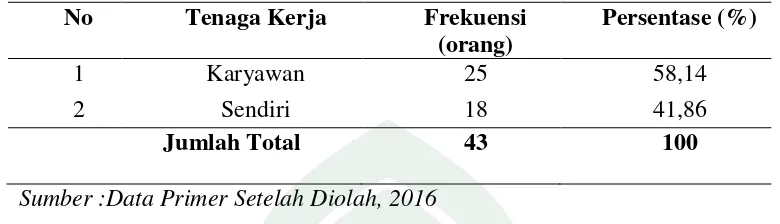 Tabel 8. Klasifikasi Responden Berdasarkan Tenaga Kerja di Kecamatan Pallangga, Kabupaten Gowa 