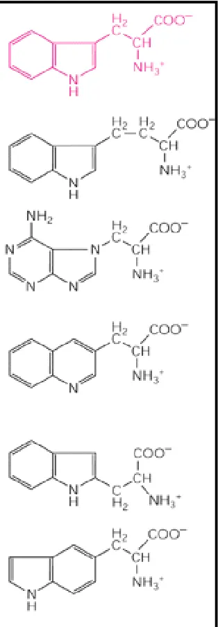 Figure 2-2. Living organisms synthesize only a small number of the organic molecules that they in principle could make