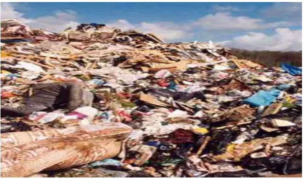 Gambar 2.2 sampah organik 