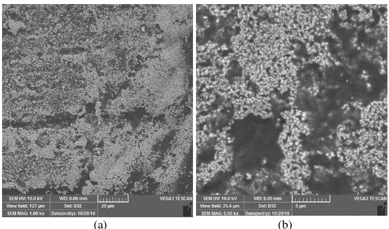 Gambar 4.4: Hasil pengujian SEM pada permukaan subtak kaca yang dilapisi TiO2 dan ekstrak dye daun putri malu pada pembesaran (a) 1000x dan (b) 5000x 