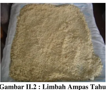 Gambar II.2 : Limbah Ampas Tahu 