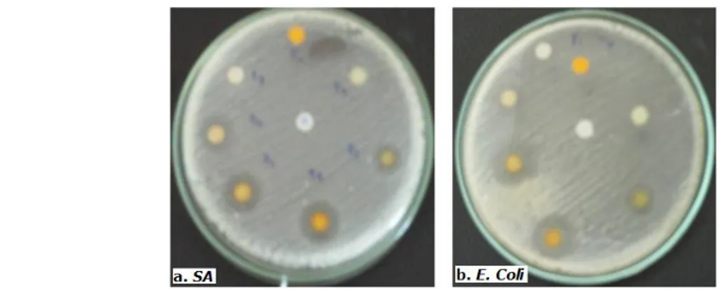 Gambar 1. Aktivitas antibakteri  fraksi 1, 2, 3, 4, 5, 6, dan 7 dari ekstrak washbenzen daun Eupatorium  odoratum L