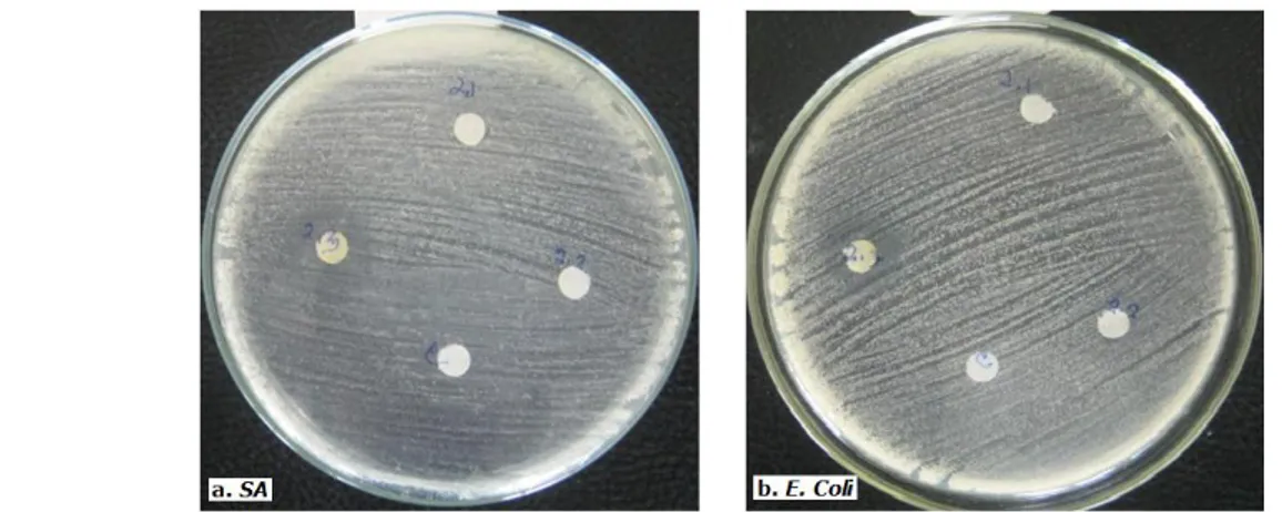 Gambar 4.  Aktivitas antibakteri isolat 2.1, 2.2, dan 2.3 dari hasil KLTP isolat 2 dengan  loading 1000µg  terhadap (a) S