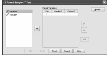 Gambar 11.6. Kotak Dialog Options  