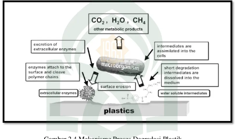 Gambar 2.4 Mekanisme Proses Degradasi Plastik 