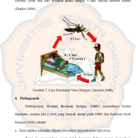 Gambar 2. Cara Penularan Virus Dengue (Anonim,2008) 