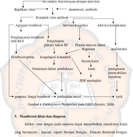 Gambar 4. Pathogenesis Perdarahan pada DBD (Suvatte, 2008) 