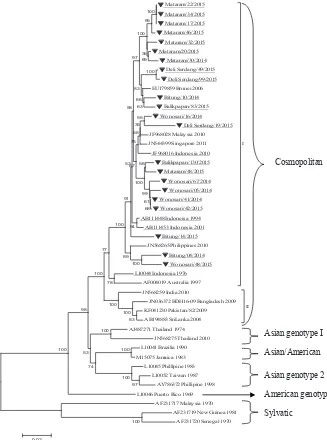 Figure 3.  Phylogenetic tree of DENV-2 constructed based on envelope gene (1485 nt). The Indonesian sequences are designated with underline and sequences from dengue sentinel sites marked with solid triangle (▼)