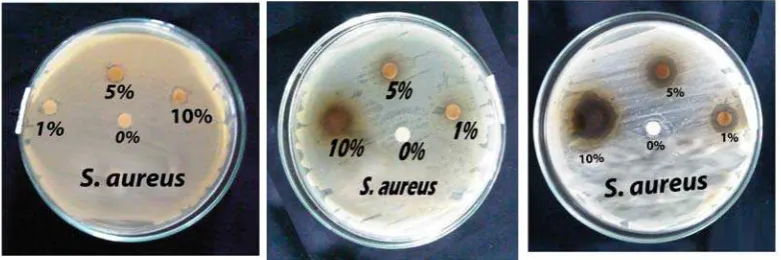 Gambar 2. Penghambatan ekstrak herba meniran terhadap pertumbuhan bakteri                    patogen  S