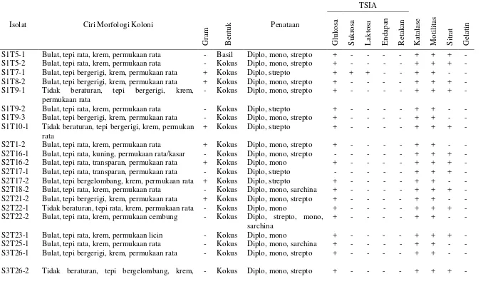 Tabel 1.  Karakterisasi isolat bakteri yang menghasilkan antimikroba 