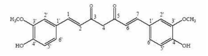 Gambar 4. Struktur senyawa kurkumin 