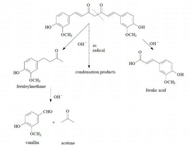 Gambar 6. Contoh produk degradasi kurkumin pada pH alkali (Stankovic, 2004) 