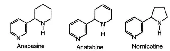 Gambar 5. Struktur anabasin, anatabin, dan nornikotin (Jacob, Hatsukami, Severson, Hall, Yu dan Benowitz, 2002)