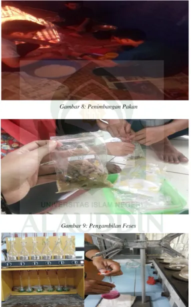 Gambar 8: Penimbangan Pakan