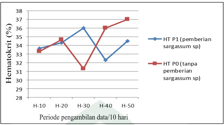 Grafik 2: Rata-rata Hematokrit (Ht) sapi Bali jantan yang diberikan pakan 