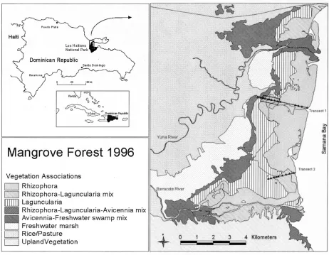 Figure  7. Species associations in the mangrove forest at the western portion of Samaná Bay (Sherman, 2003)
