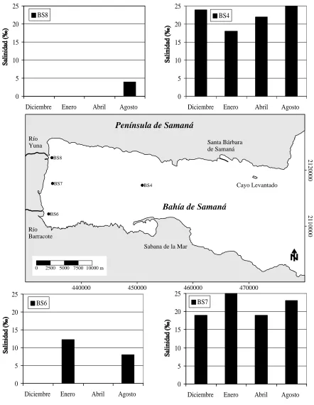 Figure 2. Variation of salinity in four stations  (BS4, BS6, BS7 y BS8) in the western of Samana Bay, during four month from  1988 to 1989 (elaborated from data by Ferreras et al., 1990 and Ferreras, 1991)