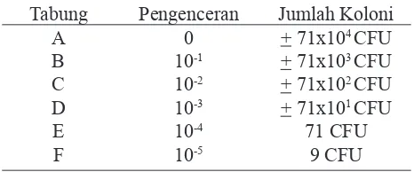 Tabel 1. Hasil hitung koloni bakteri dalam 1 uL sampel pada masing-masing pengen-ceran