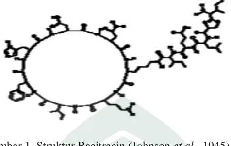 Gambar 1. Struktur Bacitracin (Johnson et al., 1945) 