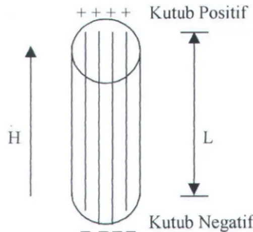 Gambar 2.3.  Polarisasi terinduksi pada silinder oleh medan magnet  (Dobrin,  1981) 