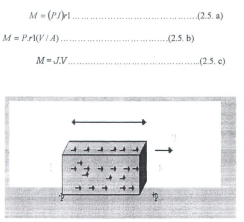 Gambar 2.4 . Skema dari elemen magnet (Sharma,  1997) 