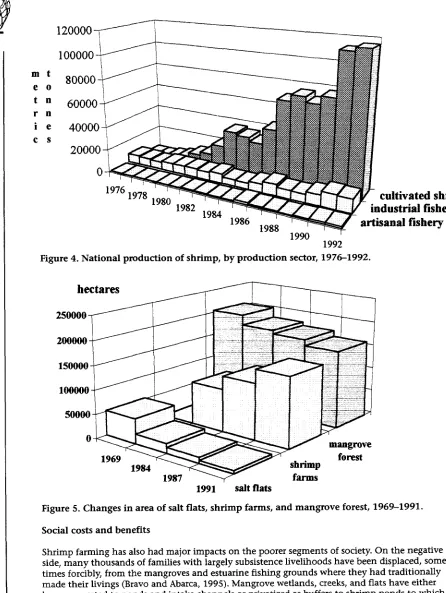Figure 5. Changes in area of salt flats, shrimp farms, and mangrove forest, 1969-1991