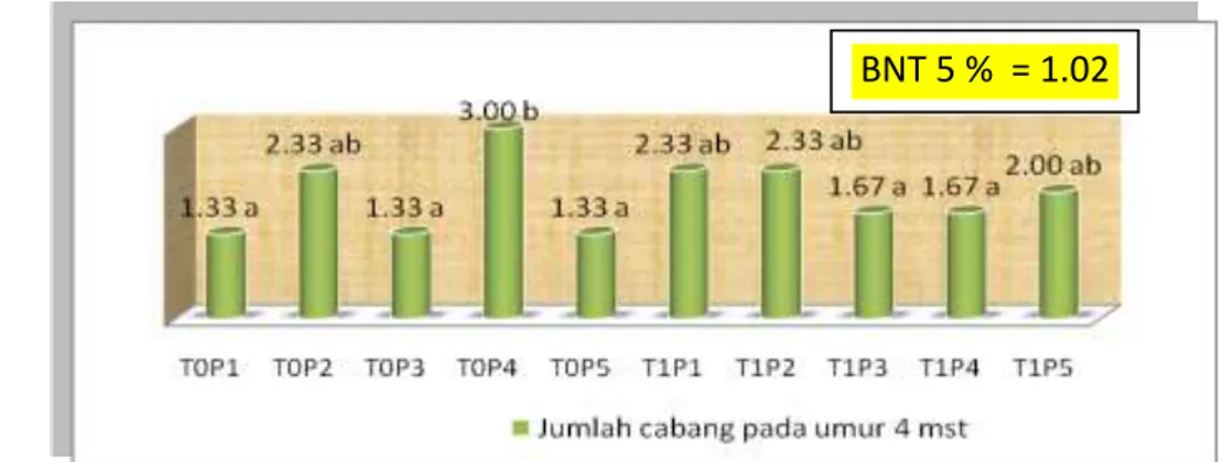 Gambar 4.  Histogram jumlah  cabang  akibat  pemberian Trichoderma sp dan fungisida anorganik  terhadap berbagai macam pupuk pada umur 4 mst