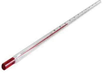 Gambar II.10.  Termometer air raksa 