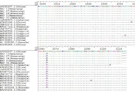 Tabel 2.  Homologi Tingkat Asam Amino Segmen L Virus Seoul Asal Semarang dengan Sekuen GenBank